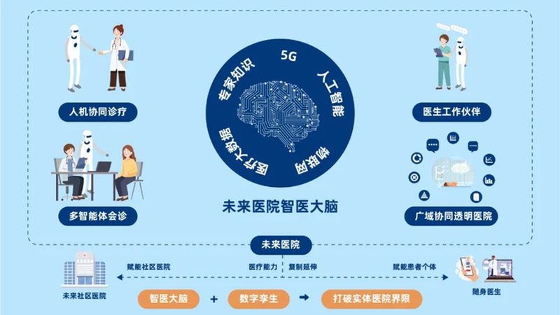 老年人养生指南分类：五大板块助您健康长寿